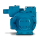Blackmer-Magnes-SlidingVane Pump_6