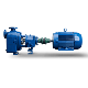 Griswold Self-Priming Centrifugal Pump - 811SP Series