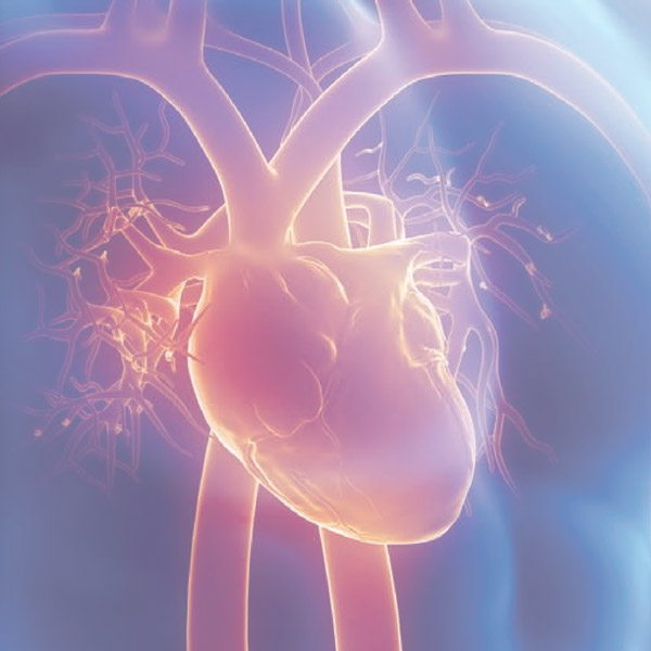 Quattroflow Technology Heart Comparison
